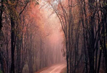 [国际足球]马尔穆什：神锋奔“月”.