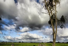 开云体育：完全体要来了？东契奇各种不讲理三分 三分6中4高效砍19分4板3助.