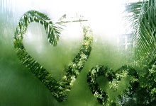 [冰雪]林勤炜、赵丹分获男、女冠军.