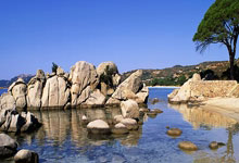 [国际足球]马尔穆什：神锋奔“月”.